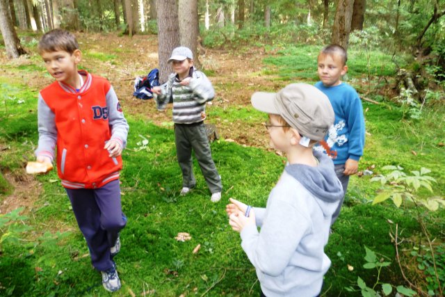 p1040227