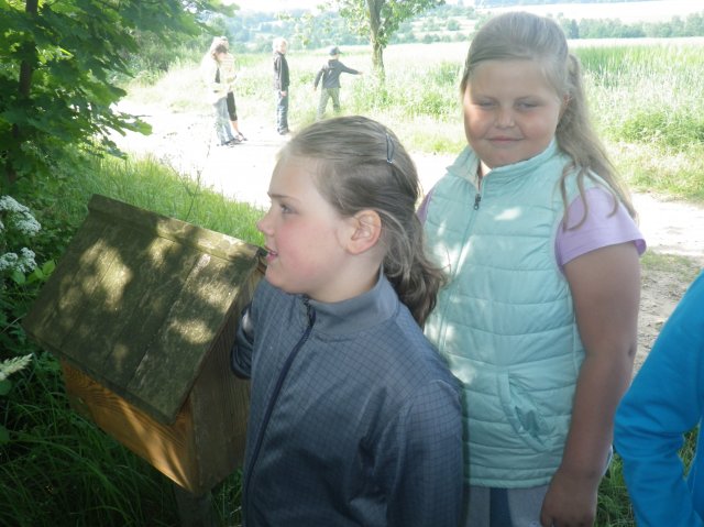 imgp1240
