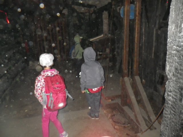 imgp1310