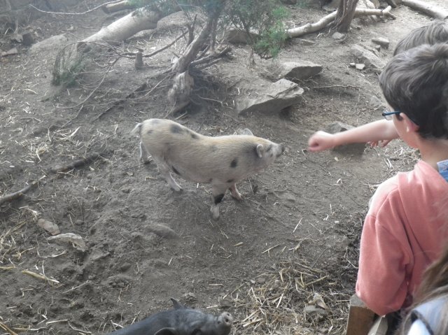 imgp1392