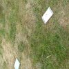 20150617_105804