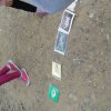 20150617_105827