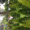 20150617_131209