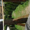 20150617_131545