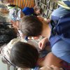 20150617_134425