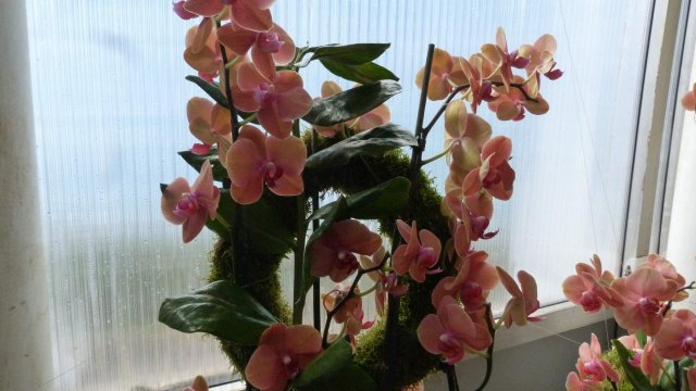 p1080361