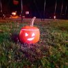 dscn0239