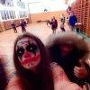 dscn0241