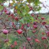img_20220927_091535