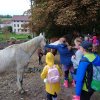 img_20220927_094559