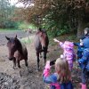 img_20220927_094610