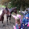 img_20220927_094620