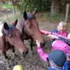 img_20220927_094652