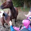 img_20220927_094710