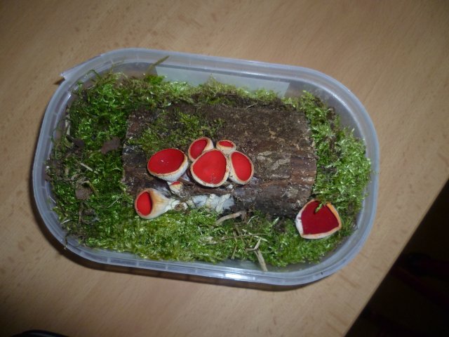 p1070546