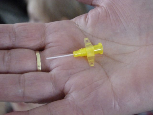 p1100050