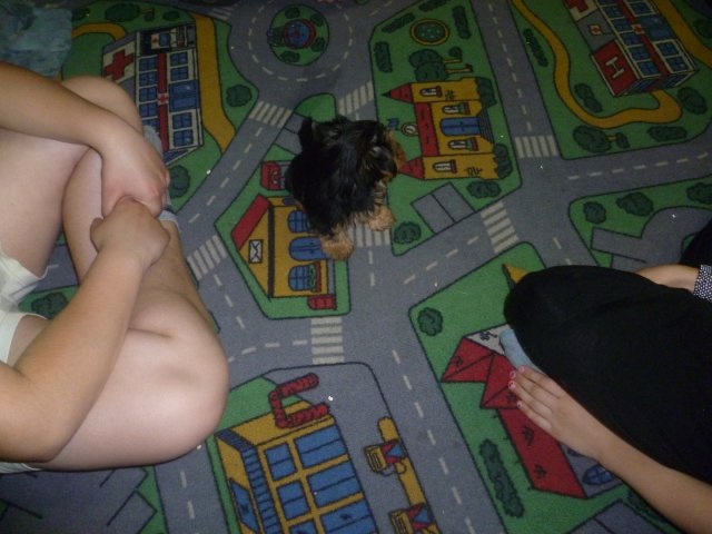 p1050511