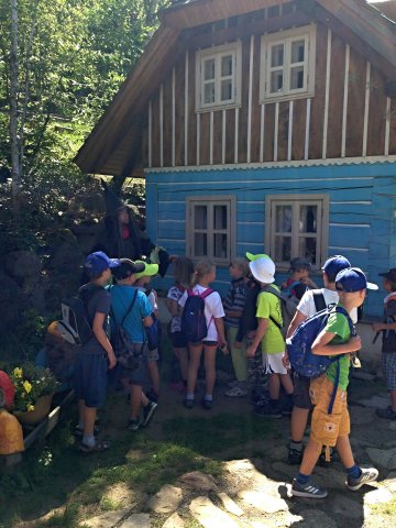 img_4241