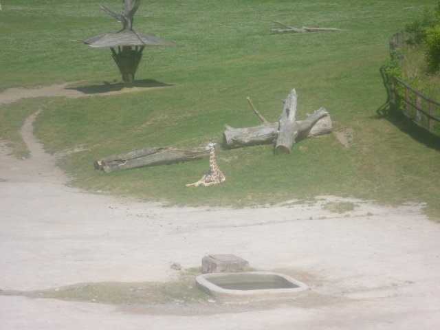 p1060879