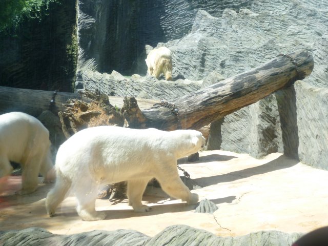 p1060899