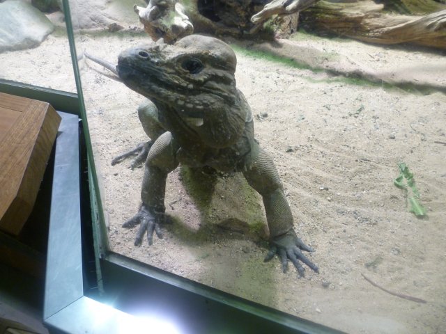p1060930