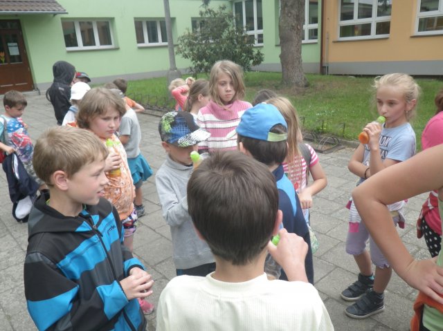 imgp1130
