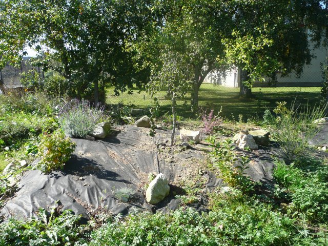 p1000809
