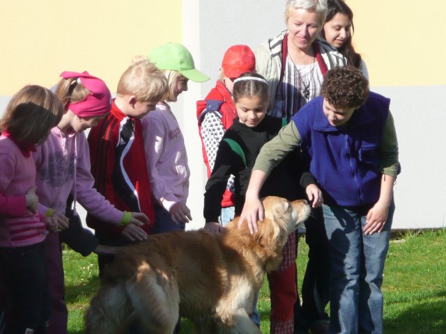DEN ZEMĚ 20. 4. 2011 v areálu školy