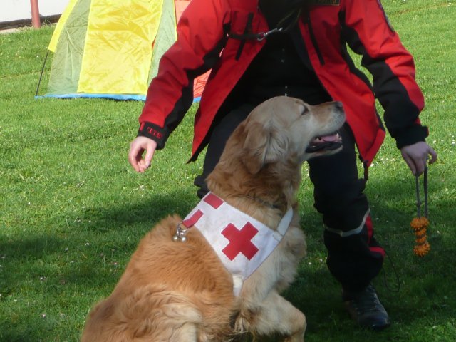 DEN ZEMĚ 20. 4. 2011 v areálu školy