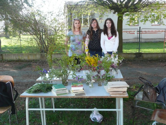 DEN ZEMĚ 20. 4. 2011 v areálu školy