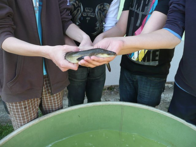 DEN ZEMĚ 20. 4. 2011 v areálu školy