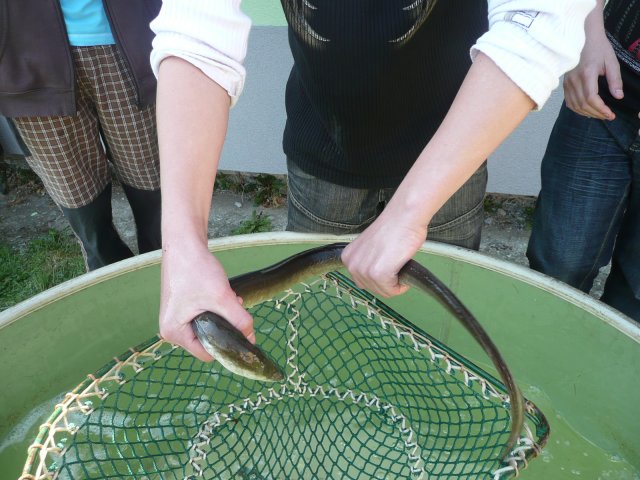 DEN ZEMĚ 20. 4. 2011 v areálu školy