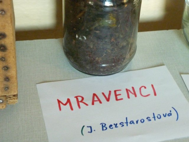 DEN ZEMĚ 20. 4. 2011 v areálu školy