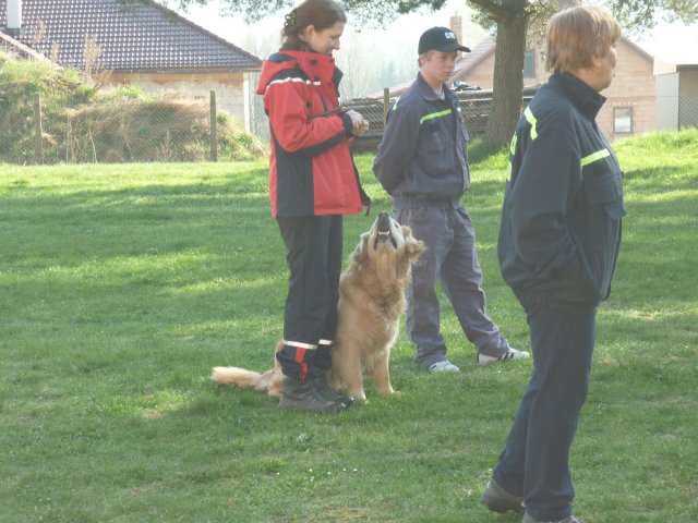 DEN ZEMĚ 20. 4. 2011 v areálu školy