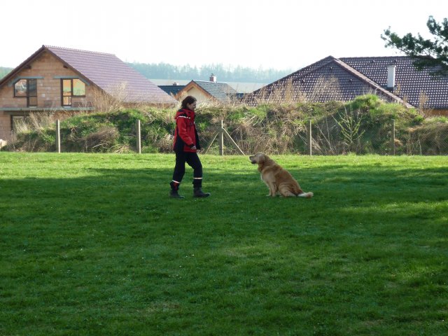 DEN ZEMĚ 20. 4. 2011 v areálu školy