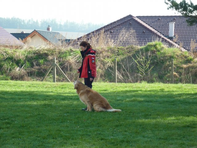 DEN ZEMĚ 20. 4. 2011 v areálu školy