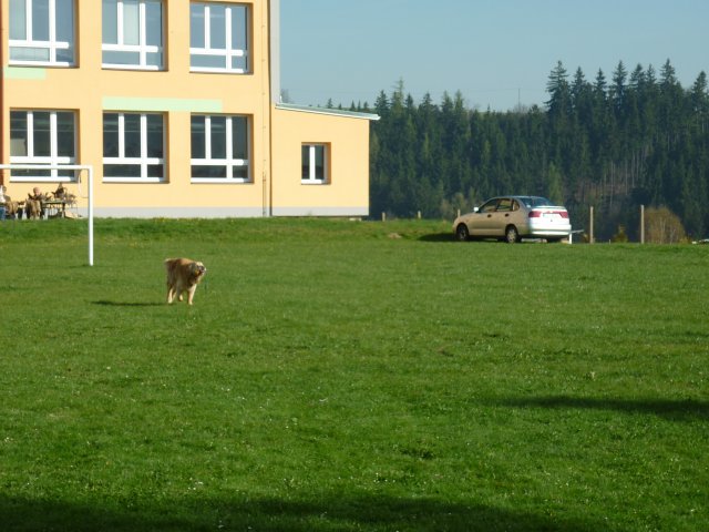 DEN ZEMĚ 20. 4. 2011 v areálu školy