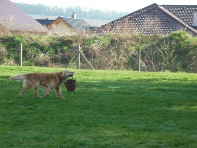 DEN ZEMĚ 20. 4. 2011 v areálu školy
