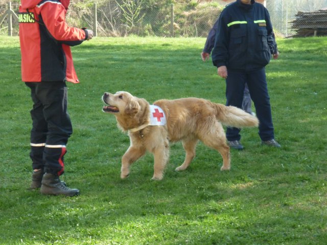 DEN ZEMĚ 20. 4. 2011 v areálu školy