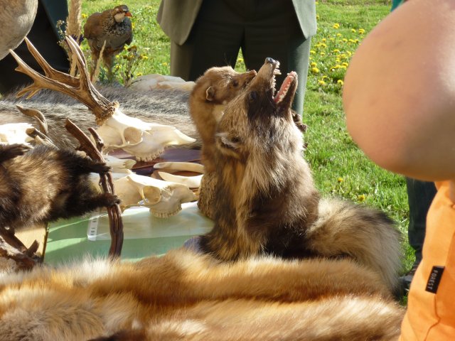 DEN ZEMĚ 20. 4. 2011 v areálu školy