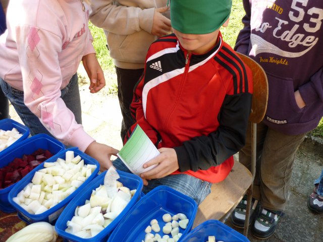 DEN ZEMĚ 20. 4. 2011 v areálu školy