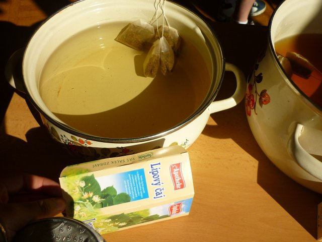 DEN ZEMĚ 20. 4. 2011 v areálu školy