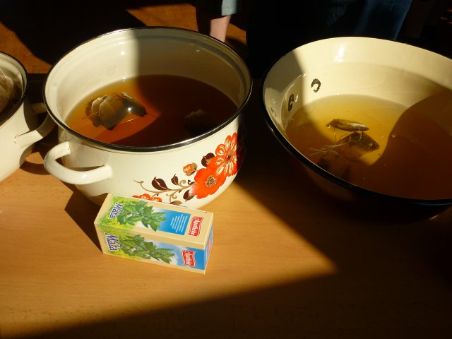 DEN ZEMĚ 20. 4. 2011 v areálu školy