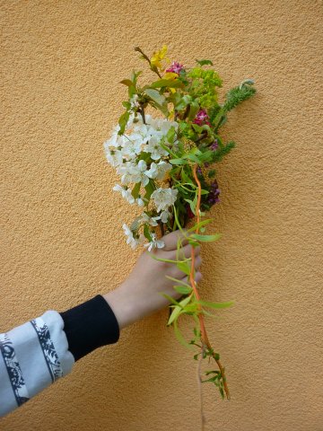 DEN ZEMĚ 20. 4. 2011 v areálu školy