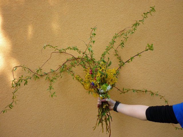 DEN ZEMĚ 20. 4. 2011 v areálu školy