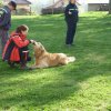 DEN ZEMĚ 20. 4. 2011 v areálu školy