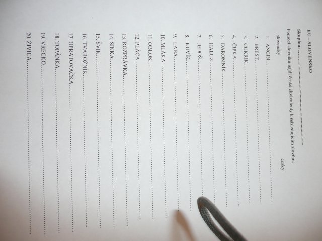 EU - Slovensko - projektový den 27.6.2011