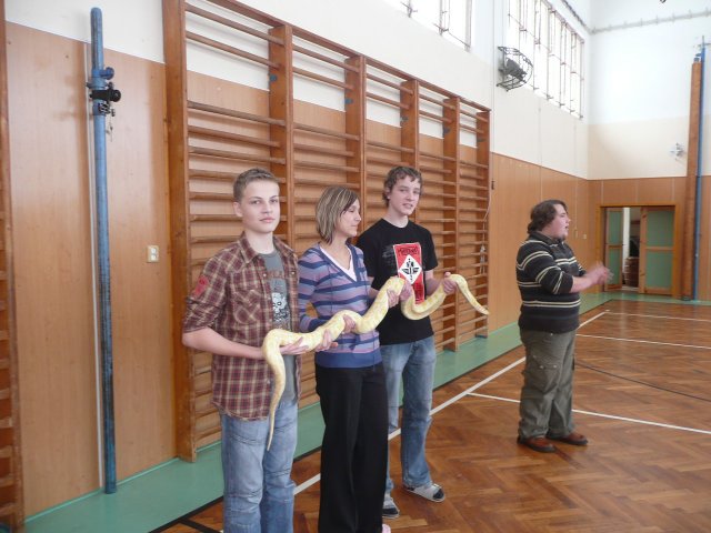 Plazi 28. 1. 2010