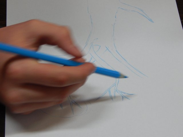 dscn4393