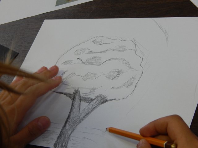 dscn4401